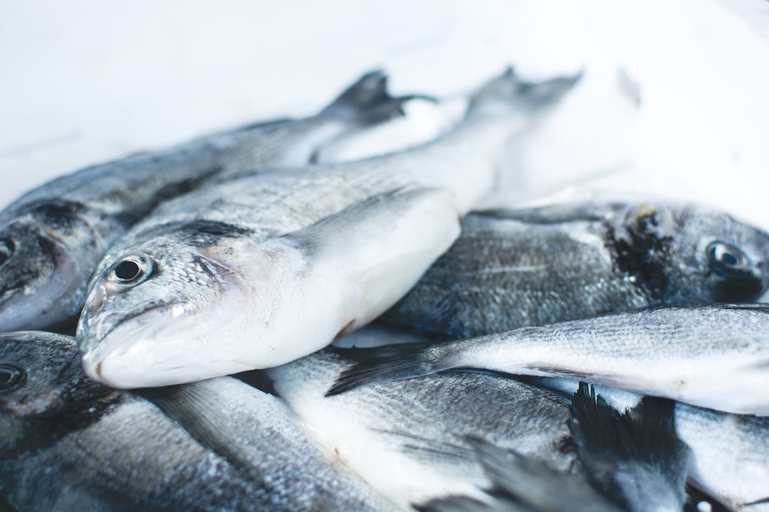 Est-ce que le poisson est un animal ?